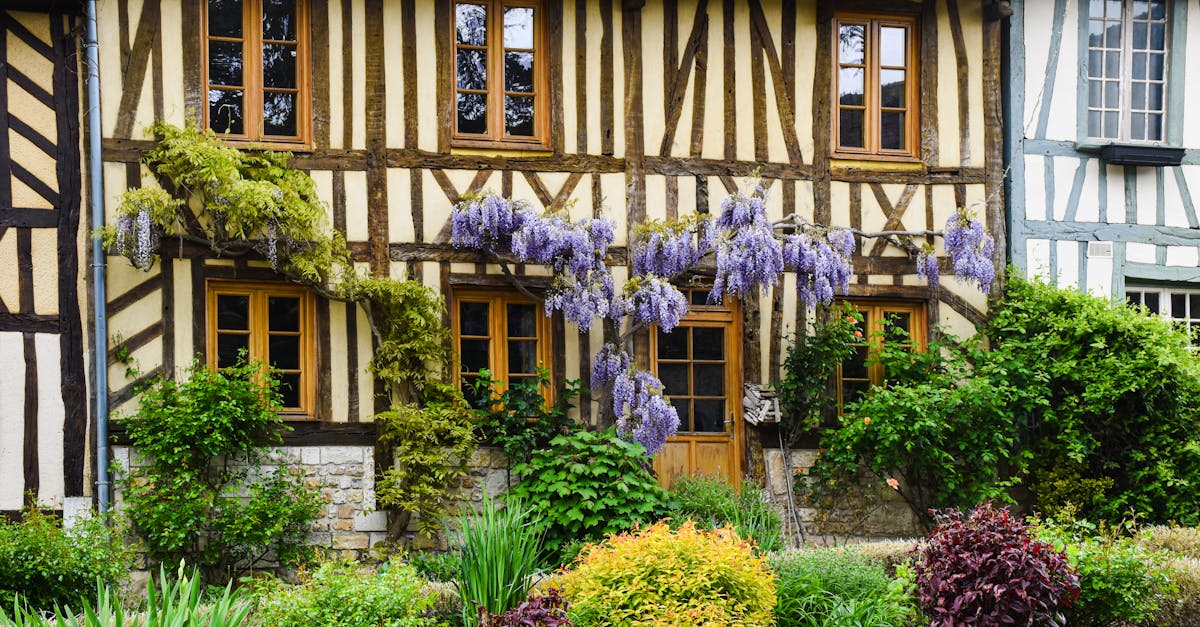 découvrez la charmante ville de honfleur, située sur la côte normande, célèbre pour son vieux port pittoresque, ses maisons à colombages et son ambiance artistique. explorez ses galeries, ses restaurants raffinés et admirez la beauté de ses paysages marins.