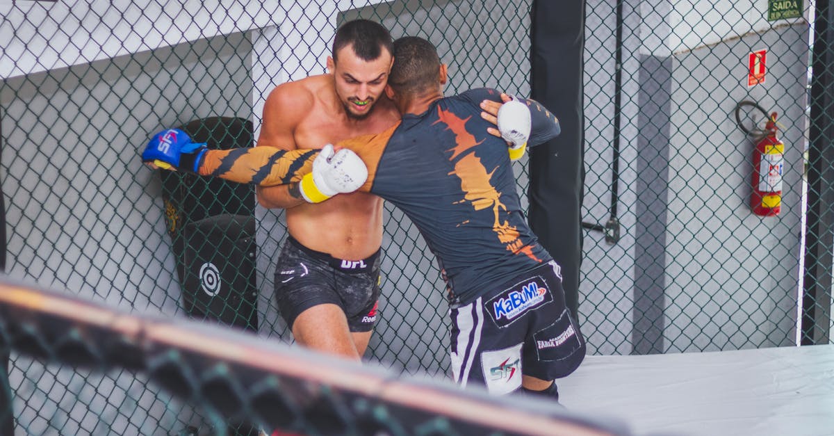 découvrez le monde passionnant du mma professionnel, où les combattants s'affrontent avec technique et détermination. explorez les compétitions, les athlètes et les stratégies qui font vibrer les amateurs de sports de combat.