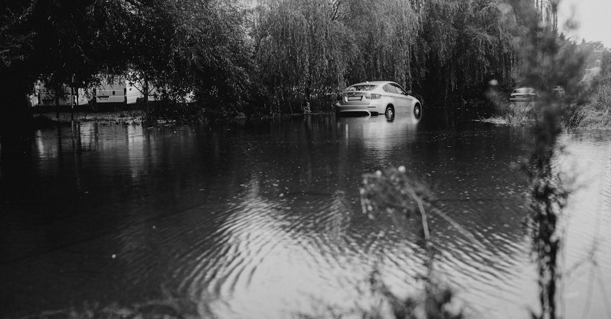 découvrez l'assurance responsabilité automobile : protégez-vous et votre patrimoine en cas de dommages causés à autrui. obtenez des conseils pour choisir la meilleure couverture et assurez votre tranquillité d'esprit sur la route.